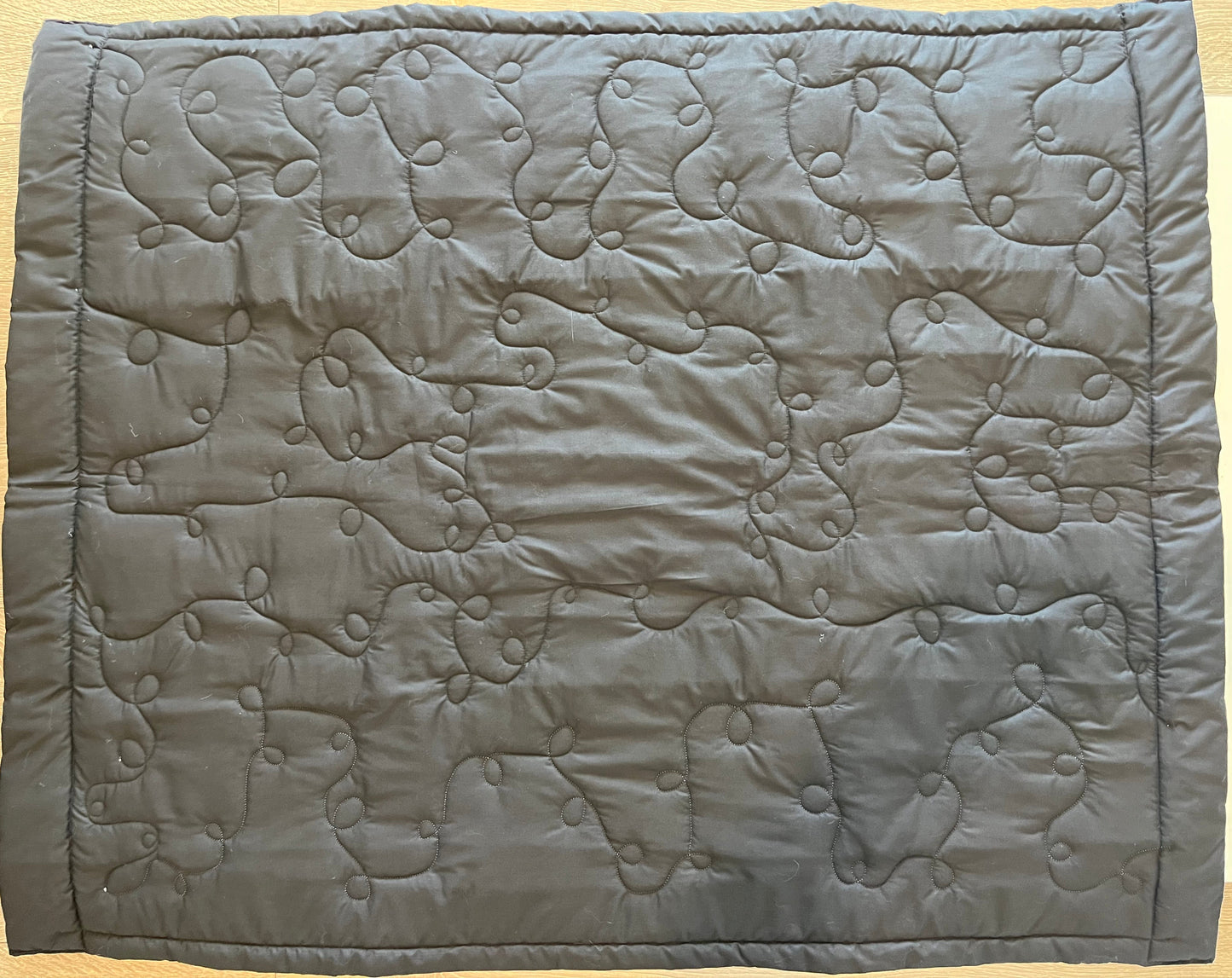 “Safari Dreams” Baby Quilt